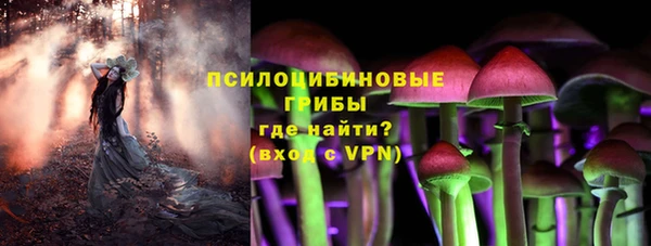 а пвп мука Рославль
