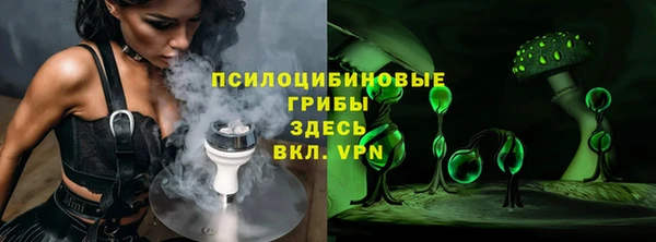 крисы Белоозёрский