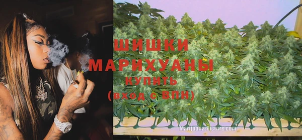 круглые Белокуриха