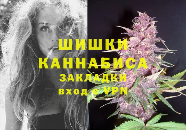 круглые Белокуриха