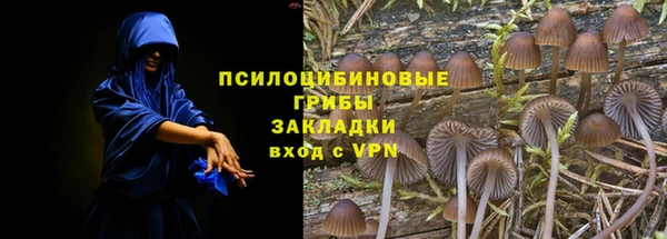 круглые Белокуриха
